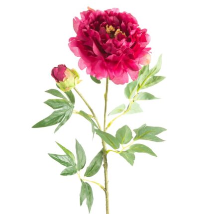 KWIAT NATU 190 FI 30 X 70 CM AMARANTOWY
