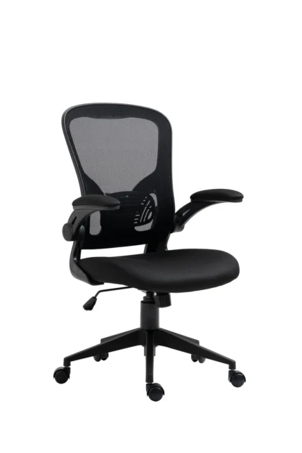 Fotel obrotowy FB21-FX (B)