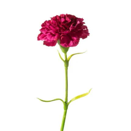 Kwiat Natu 122 8 X 40 CM amarantowy