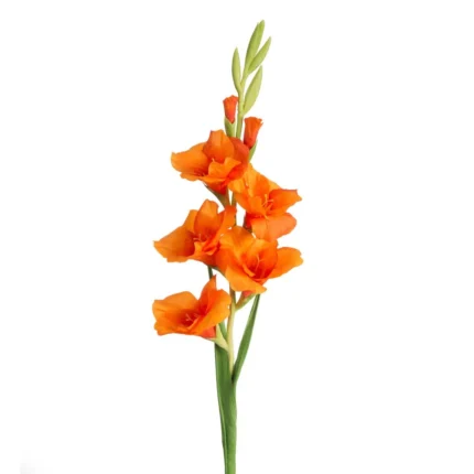 Kwiat Natu 447 85 CM pomarańczowy
