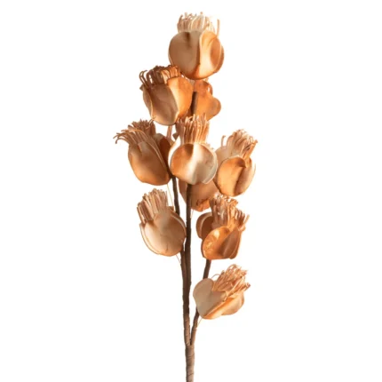 Kwiat Flore 754 92 CM brązowy