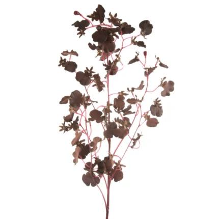 Kwiat Natu 410 80 CM brązowy