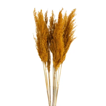 Kwiat Nat 73 CM pomarańczowy