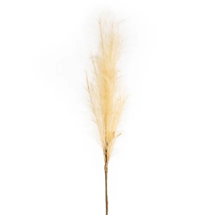 Kwiat Flore 708 100 CM beżowy