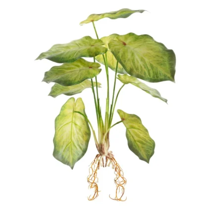 Kwiat Natu 287 45 CM jasnozielony