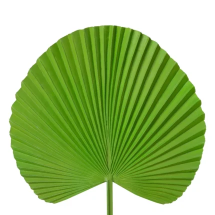Kwiat Liść 32 55 CM zielony