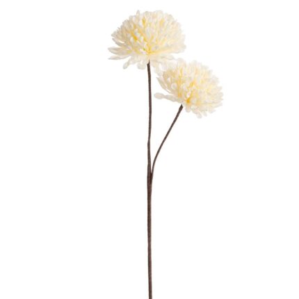 KWIAT FLORE 841 FI 13 X 63 CM KREMOWY
